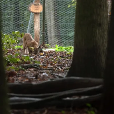 2019 10 20 Anholter Schweiz Isselburg 14 web