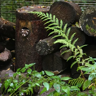 2019 10 20 Anholter Schweiz Isselburg 23 web