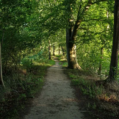 2020 07 26 DSC 1518 bew01L02 Voorst BeekzichtIJssel