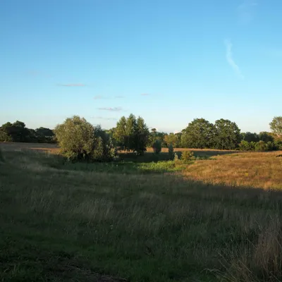 2020 07 26 DSC 1527 bew01L02 Voorst BeekzichtIJssel