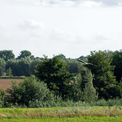 2020 07 26 DSC 5126 bew01L02 Voorst BeekzichtIJssel