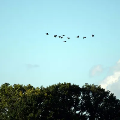 2020 07 26 DSC 5184 bew01L02 Voorst BeekzichtIJssel