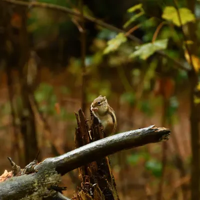 2023 10 15okt WandelbosTilburg DSC 2312