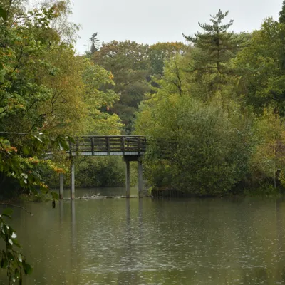 2023 10 15okt WandelbosTilburg DSC 2342