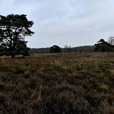 2023 11 19nov Loenermark DSC 4370