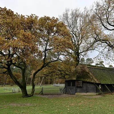 2023 11 19nov Loenermark DSC 4380