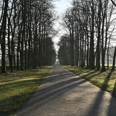 2023 12 17dec van1350u Apeldoorn HetLoo 4622