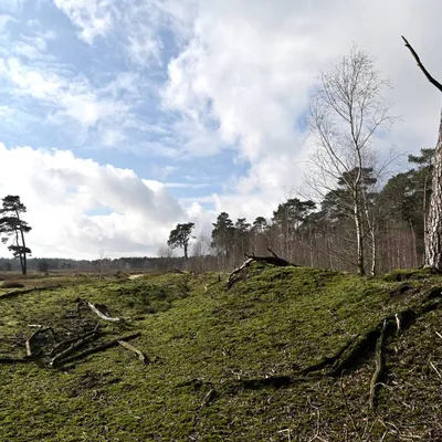 2024 02 25feb WekeromseZand Zont NZ6II 14 30mm GC30 DSC 5402