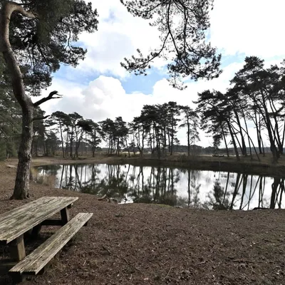 2024 02 25feb WekeromseZand Zont NZ6II 14 30mm GC30 DSC 5414