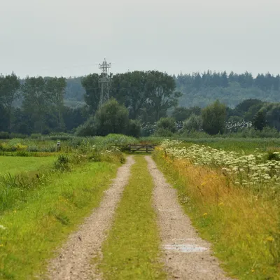 2024 07 21jul Werftweg Bennekom ND500 200 500mm GK30 DSC 3355