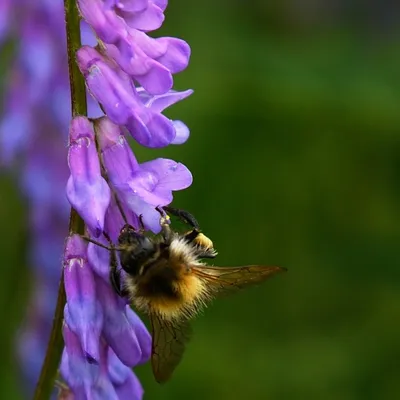 2024 07 21jul Werftweg Bennekom ND500 200 500mm GK30 DSC 3392