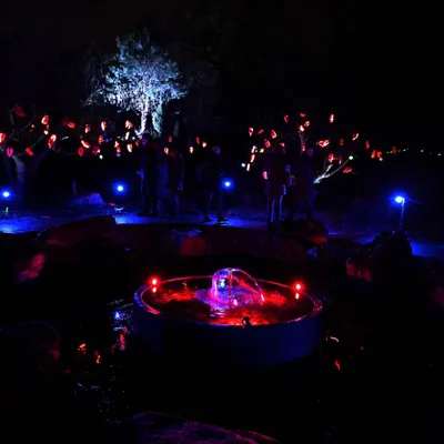 2025 01 03jan Orientales BergenDal NZ6III HC DSC 0866 008