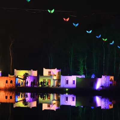 2025 01 03jan Orientales BergenDal NZ6III HC DSC 0885 02 010