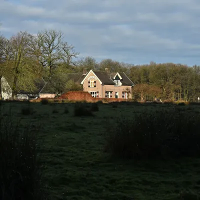 2025 01 26jan OnzaligeBossenDeSteeg U DSC 0970 02