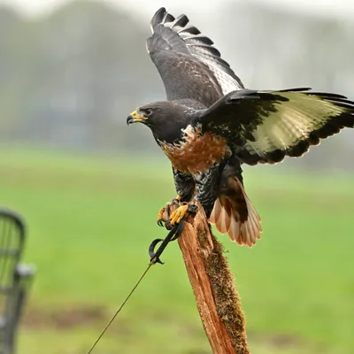 2025 04 13apr0930u Lunteren DeValk Zont GC DSC 3147 02