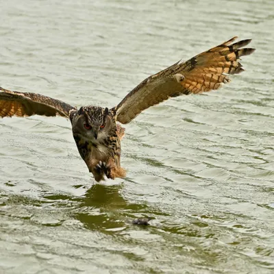 2025 04 13apr0930u Lunteren DeValk Zont GC DSC 3536 02