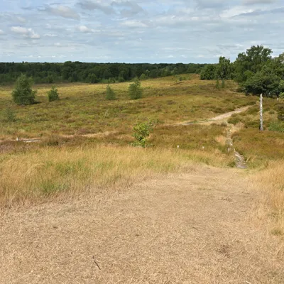 2025 07 27jul Wellerlooi OpdenHamer Zont NZ6III GK30 DSC 7146