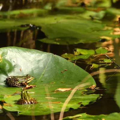 2025 08 24aug Belversven Oisterwijk Zont RAW ND500 GK30 DSC 4543