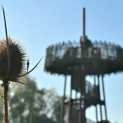 2025 09 28sep Weurt uiterwaard Zont GK DSC 9249