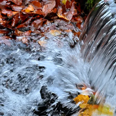 2025 11 23nov Oosterbeek Hemelsberg Ab 06