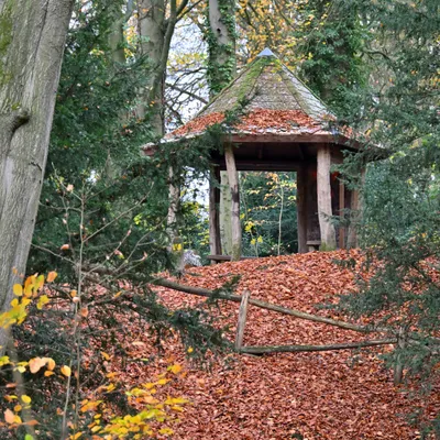 2025 11 23nov Oosterbeek Hemelsberg Ab 10