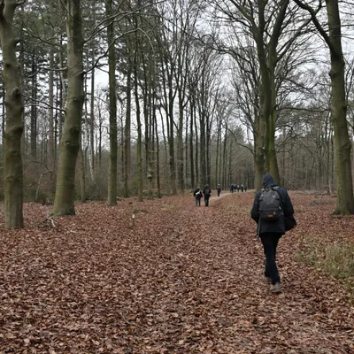 Ab van der Meij 2023 12 17dec Kroondomein HetLoo 4519