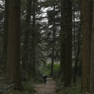 Ab van der Meij 2023 12 17dec Kroondomein HetLoo 4592 02