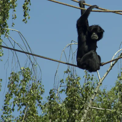 burgers zoo 230619 arnhem mg 6787 1