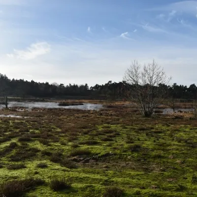 DSC 0182 HatertseVennen008a