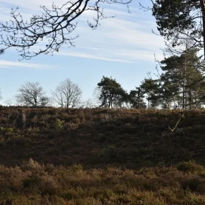 DSC 0186 HatertseVennen011a