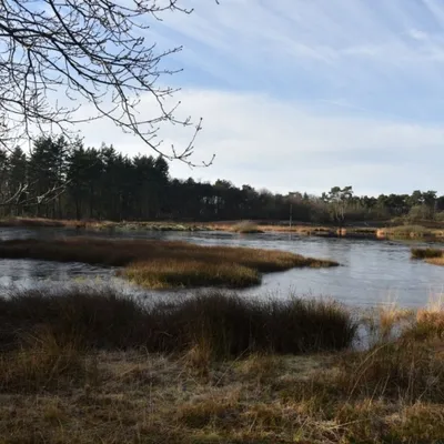 DSC 0188 HatertseVennen013a