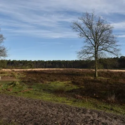 DSC 0199 HatertseVennen015a