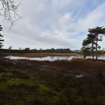 DSC 0210 HatertseVennen018a