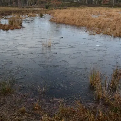 DSC 0216 HatertseVennen020a