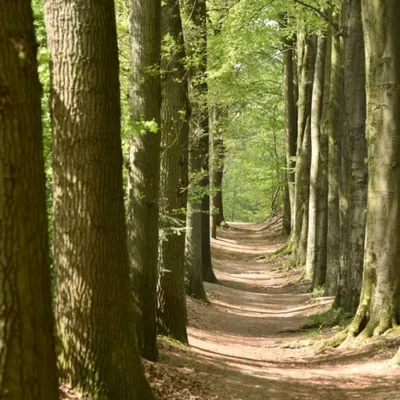 DSC 1270 ElyzeeseVelden Nijmegen 014