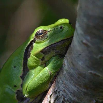 DSC 5475 kopi C3 ABren