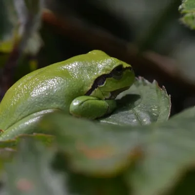 DSC 5658 kopi C3 ABren