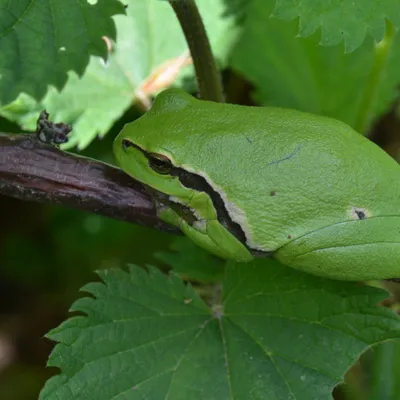 DSC 5669 kopi C3 ABren