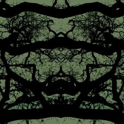 DSC 6020 kopi C3 ABren 3