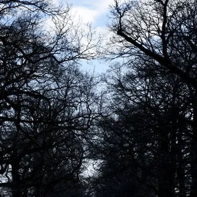 DSC 6021 kopi C3 ABren