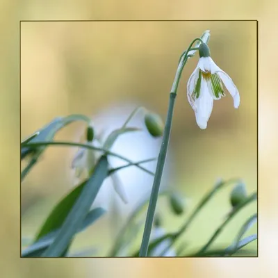 DSC 6074 kopi C3 ABren 7