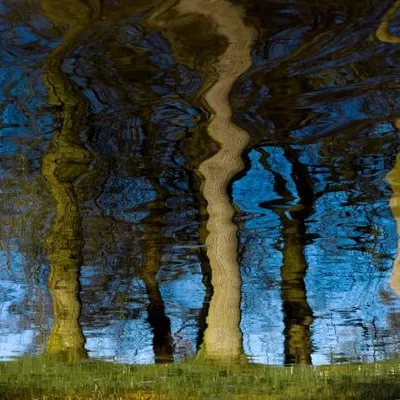 DSC 6091 kopi C3 ABren 3