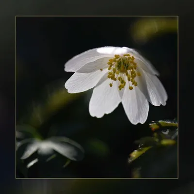 DSC 6212 kopi C3 ABren 3