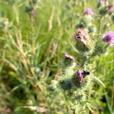 DSC 7089 gew01L04a crop