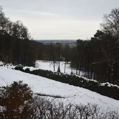 DSC 8006 kopi C3 ABren