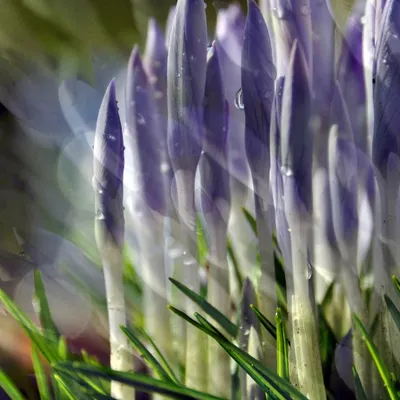 Foto afdrukken Bianca Dekkers Custom