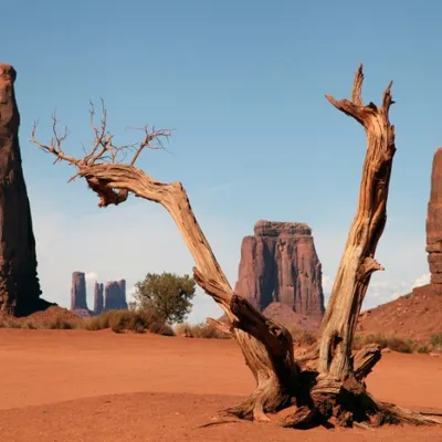 Foto afdrukken Karin Kruithof B Custom 1