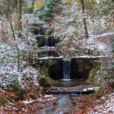 Hemelse Berg 231125 Oosterbeek 48A1783