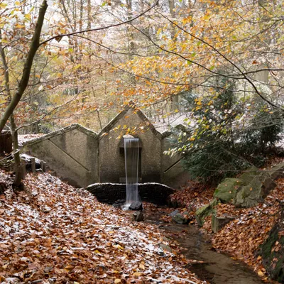 Hemelse Berg 231125 Oosterbeek 48A1796