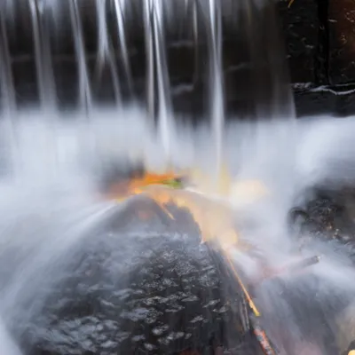 Hemelse Berg 231125 Oosterbeek 48A1810